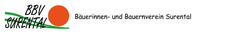Logo BBVS